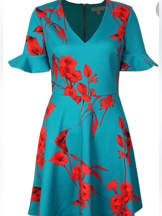 Ted Baker Dresses & Skirts - Ted Baker Teal Dress with Red Floral Print